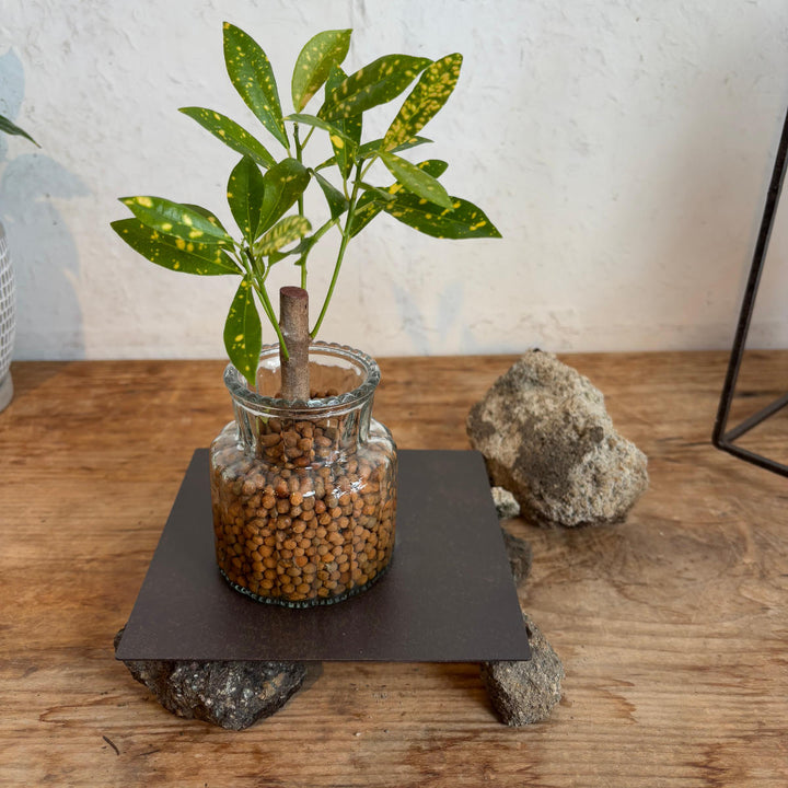 プレートジョセフアイアンプレート20×20cm