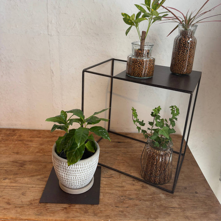 プレートジョセフアイアンプレート30×30cm