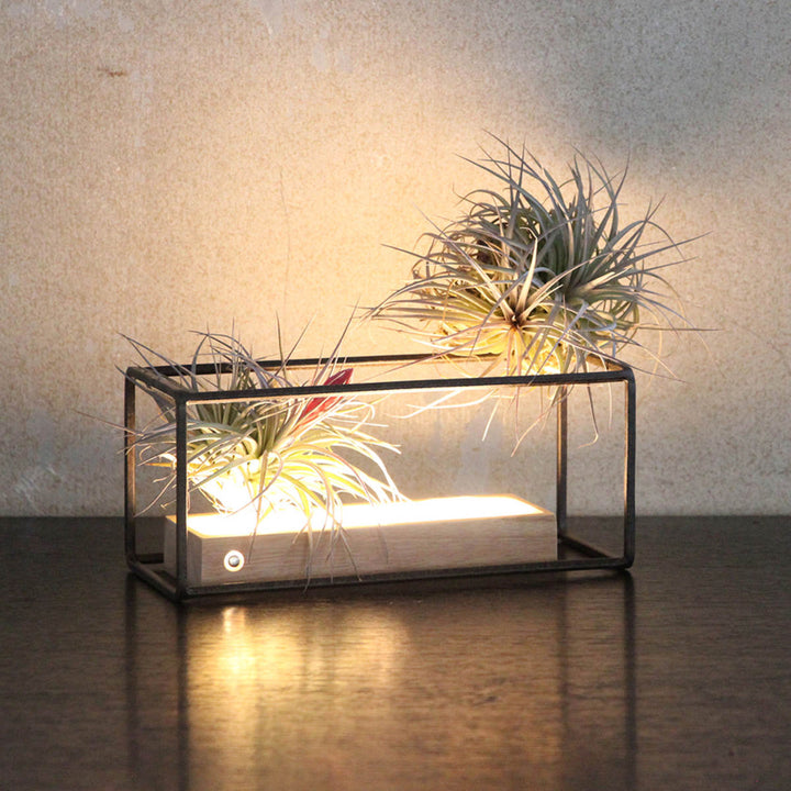 フレームジョセフアイアンディスプレイワイヤーフレームレクタングルSサイズ