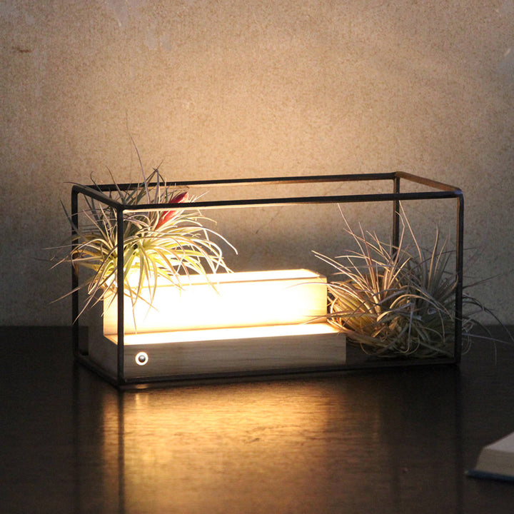 フレームジョセフアイアンディスプレイワイヤーフレームレクタングルLサイズ