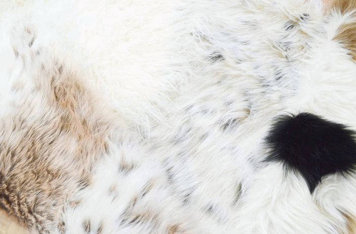 フロアマットリッシュアクセントラグS