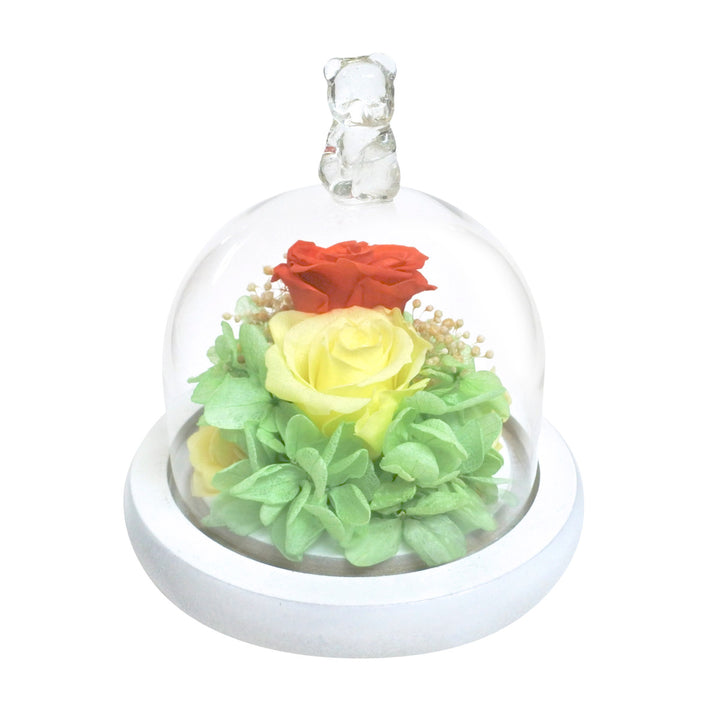 プリザーブドフラワーガラスドームアレンジモチーフガラスドーム