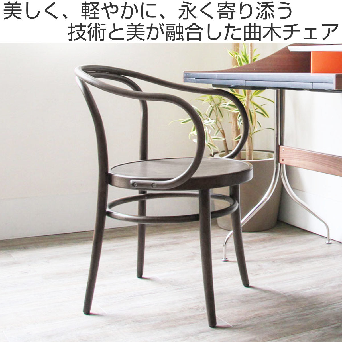 ダイニングチェア 座面高46cm 曲木チェア ルネ – ハウジー