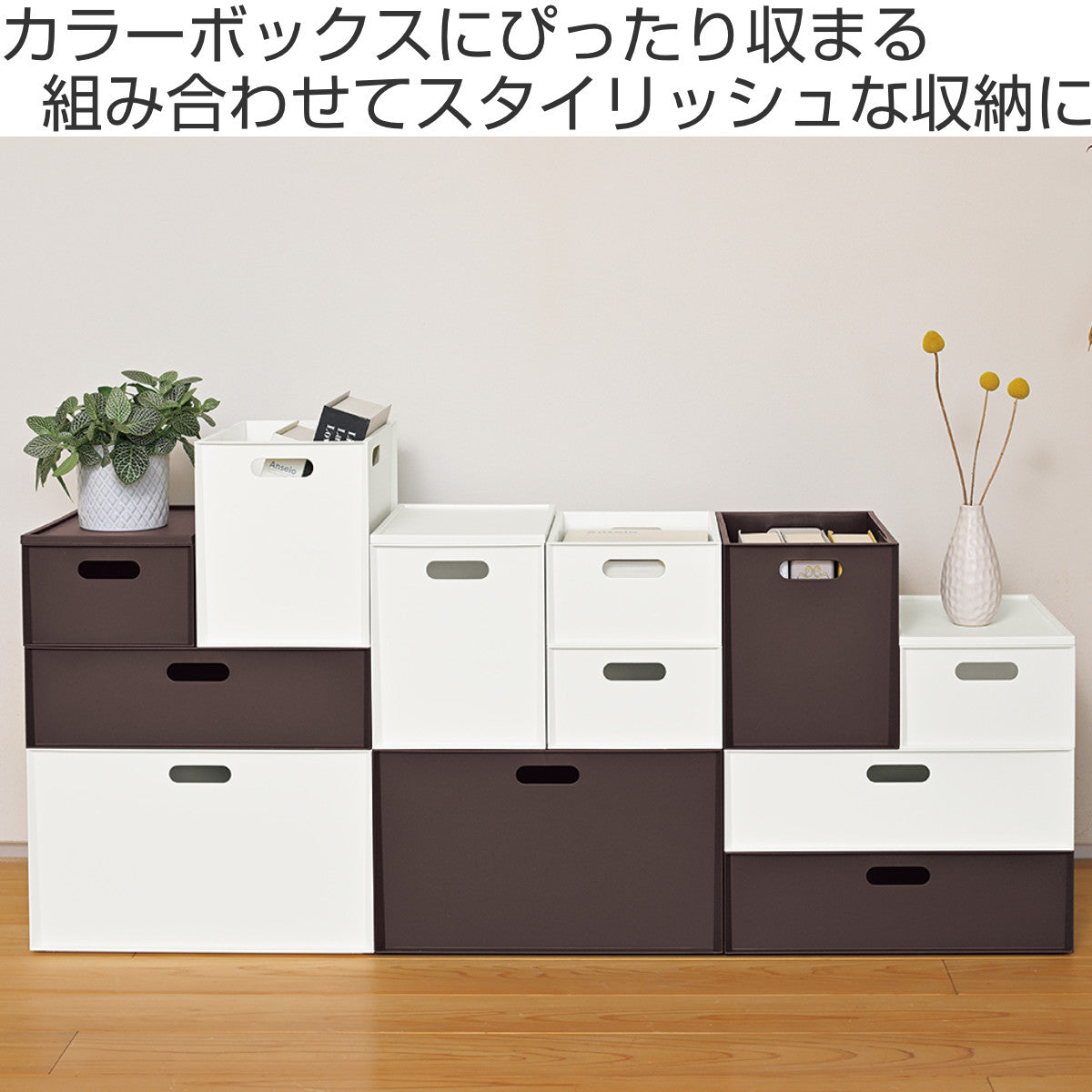 収納ボックス カロキューブ 縦型ハーフ カラーボックス 幅19.5×奥行27