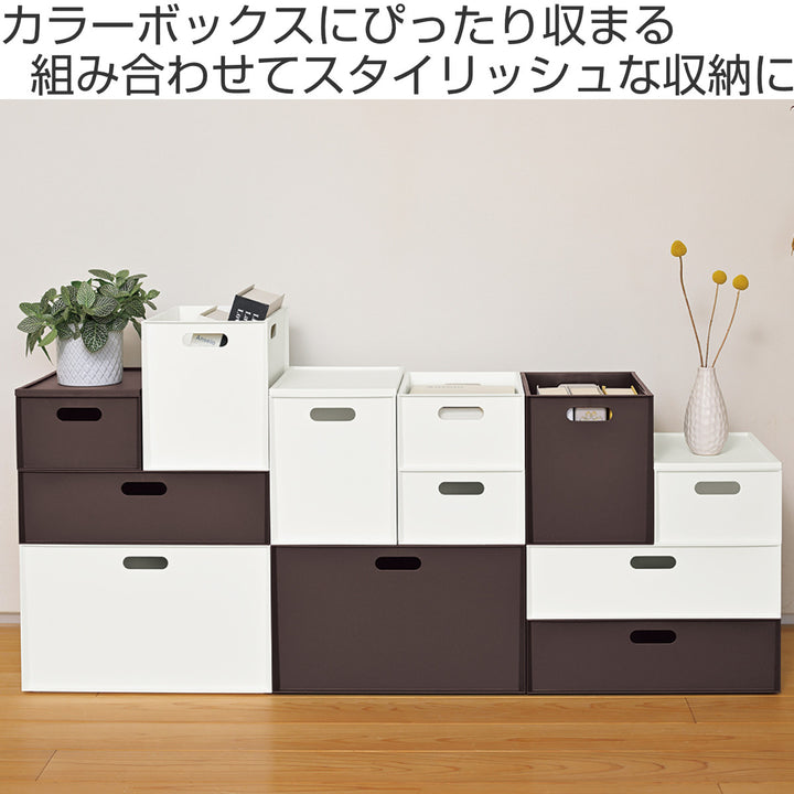 収納ボックスカロキューブ縦型ハーフカラーボックス幅19.5×奥行27×高さ12cm