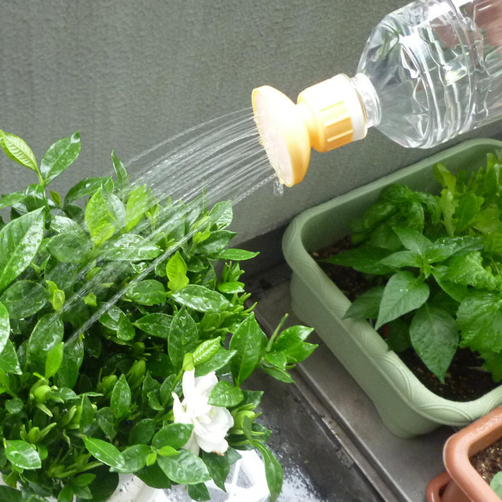 ジョーロ水差しペア君