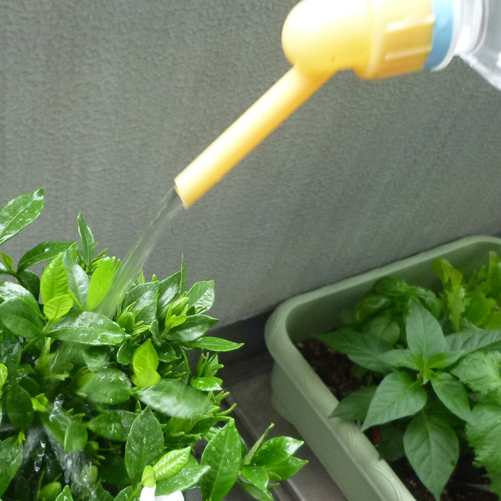 ジョーロ水差しペア君