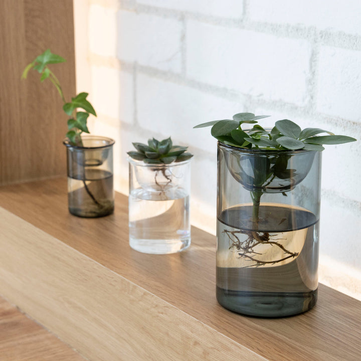 花瓶BULBVASE水栽培ガラスベースショート水耕栽培