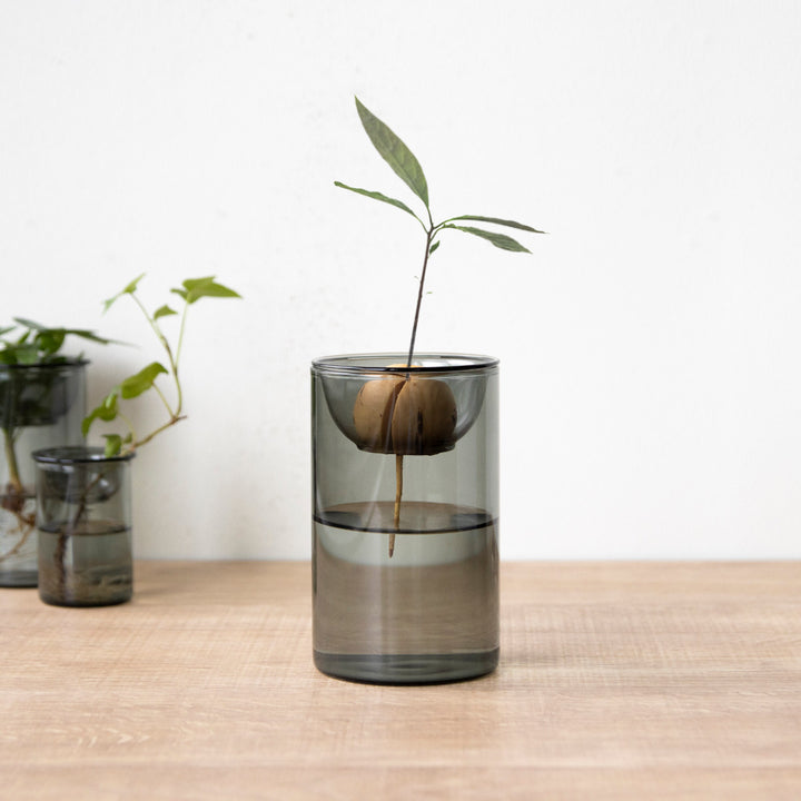 花瓶BULBVASE水栽培ガラスベースショート水耕栽培