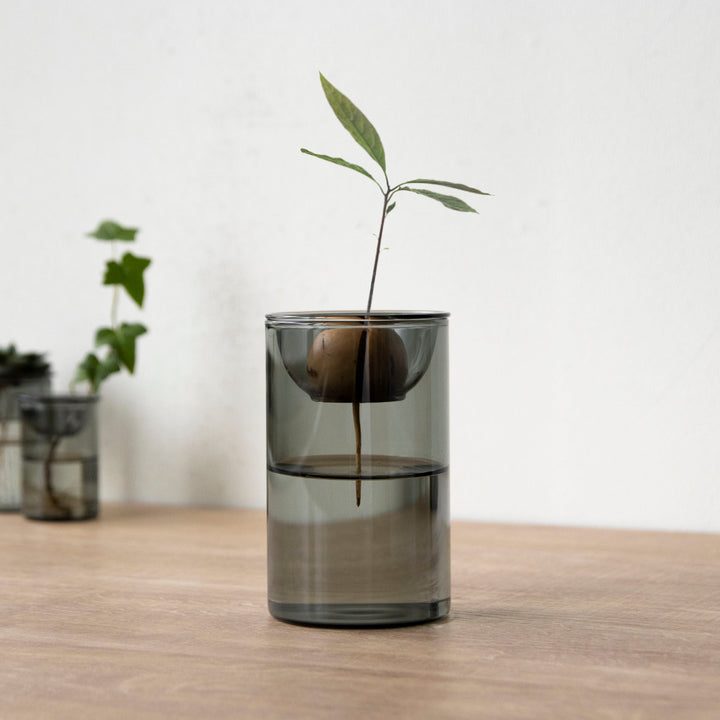 花瓶BULBVASE水栽培ガラスベースショート水耕栽培