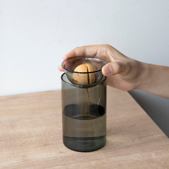 花瓶BULBVASE水栽培ガラスベースショート水耕栽培