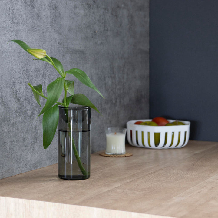 花瓶BULBVASE水栽培ガラスベースロング水耕栽培