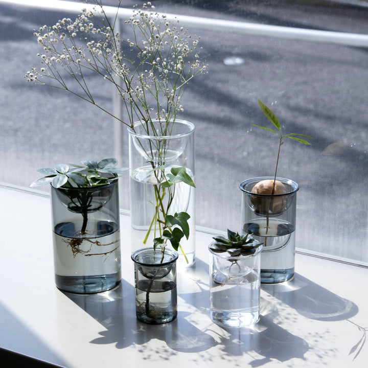 花瓶BULBVASE水栽培ガラスベースロング水耕栽培