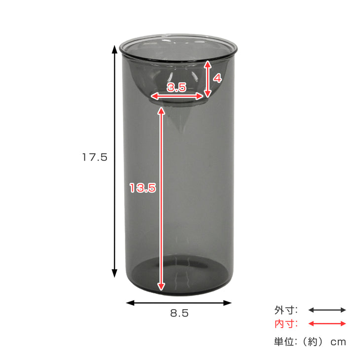 花瓶BULBVASE水栽培ガラスベースロング水耕栽培