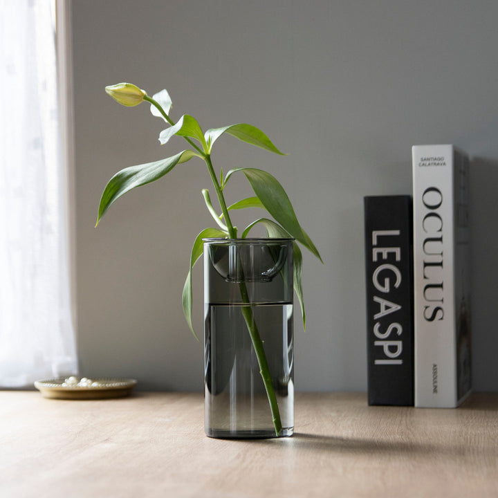花瓶BULBVASE水栽培ガラスベースロング水耕栽培