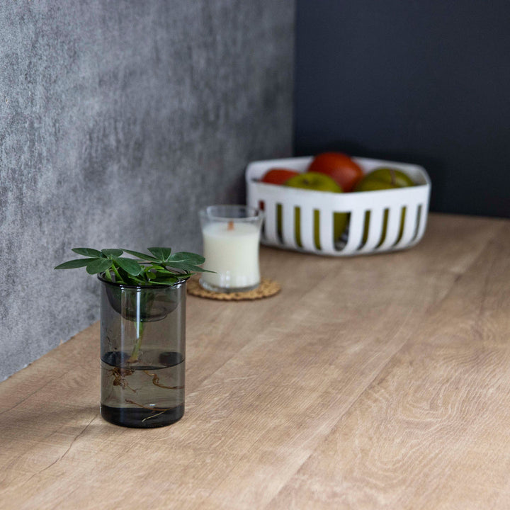 花瓶MINIBULBVASE水栽培ガラスベース11cm水耕栽培