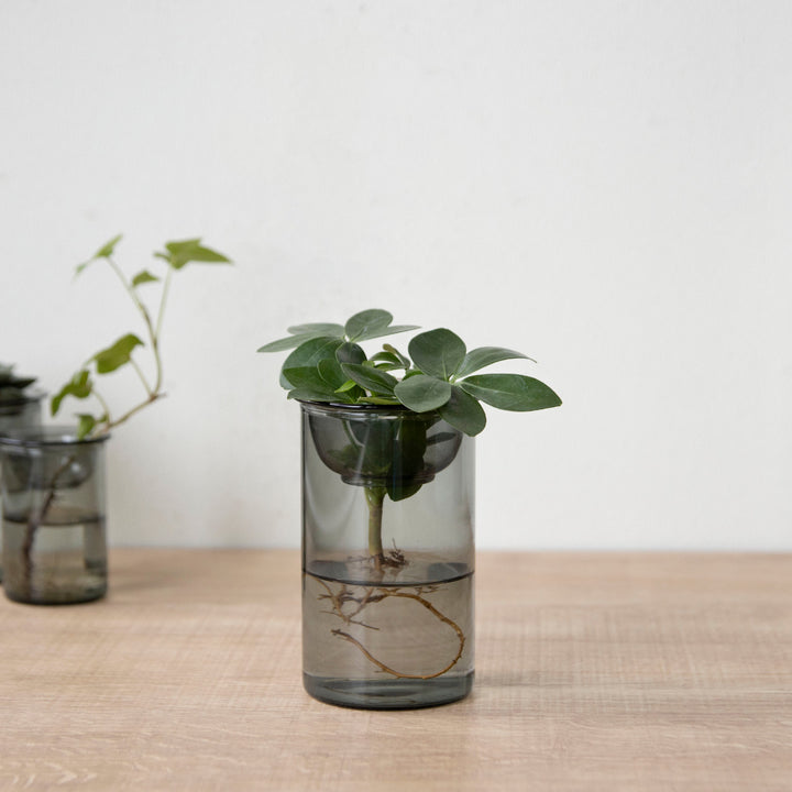 花瓶MINIBULBVASE水栽培ガラスベース11cm水耕栽培