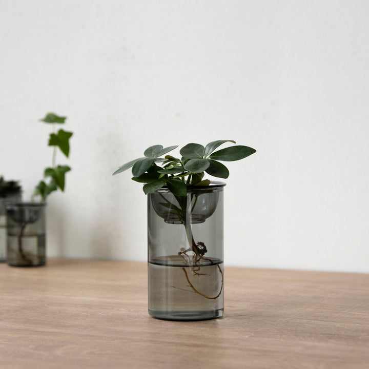 花瓶MINIBULBVASE水栽培ガラスベース11cm水耕栽培