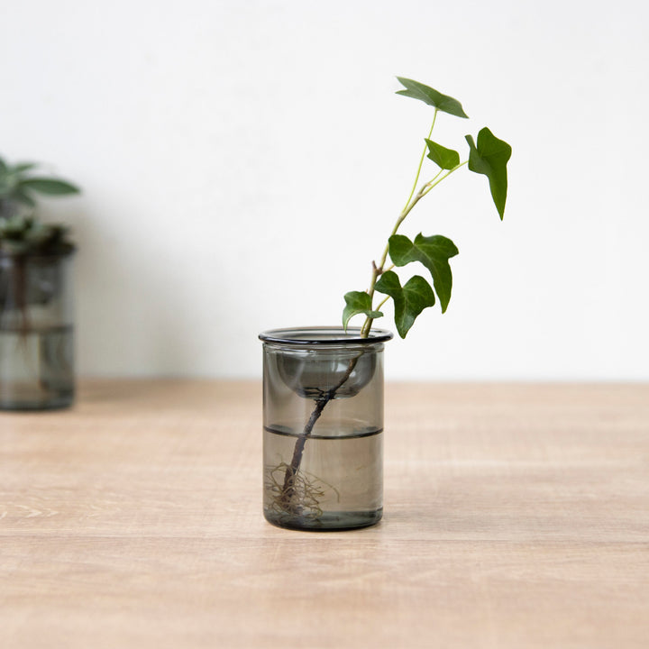 花瓶MINIBULBVASE水栽培ガラスベース7cm水耕栽培
