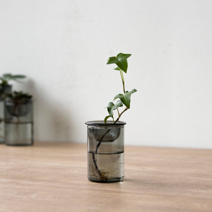 花瓶MINIBULBVASE水栽培ガラスベース7cm水耕栽培
