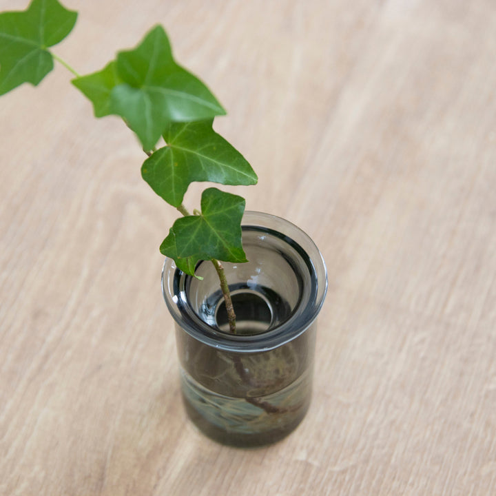 花瓶MINIBULBVASE水栽培ガラスベース7cm水耕栽培