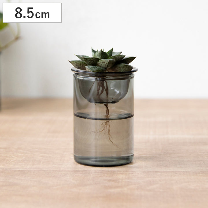 花瓶MINIBULBVASE水栽培ガラスベース8.5cm水耕栽培