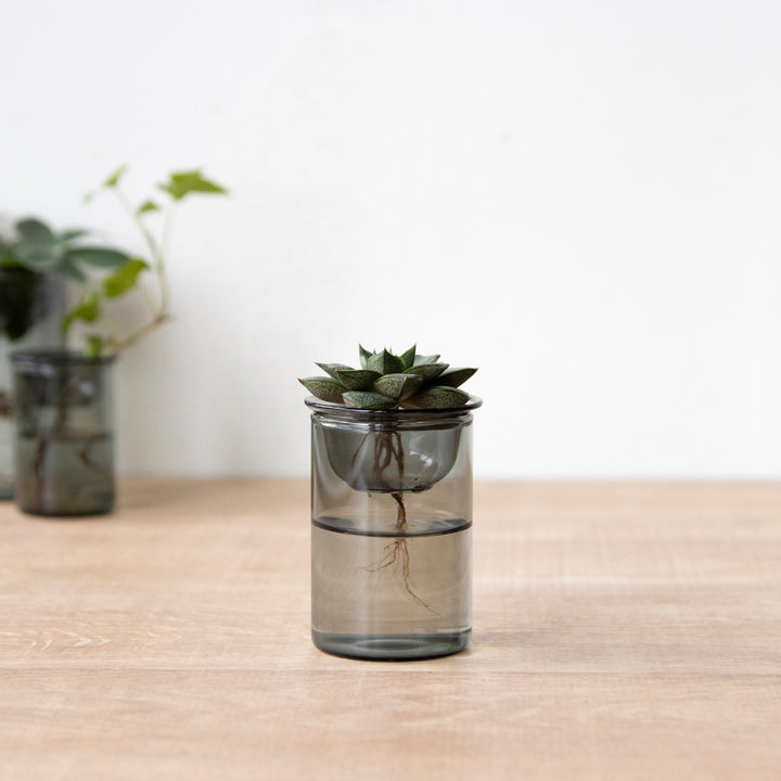 花瓶MINIBULBVASE水栽培ガラスベース8.5cm水耕栽培