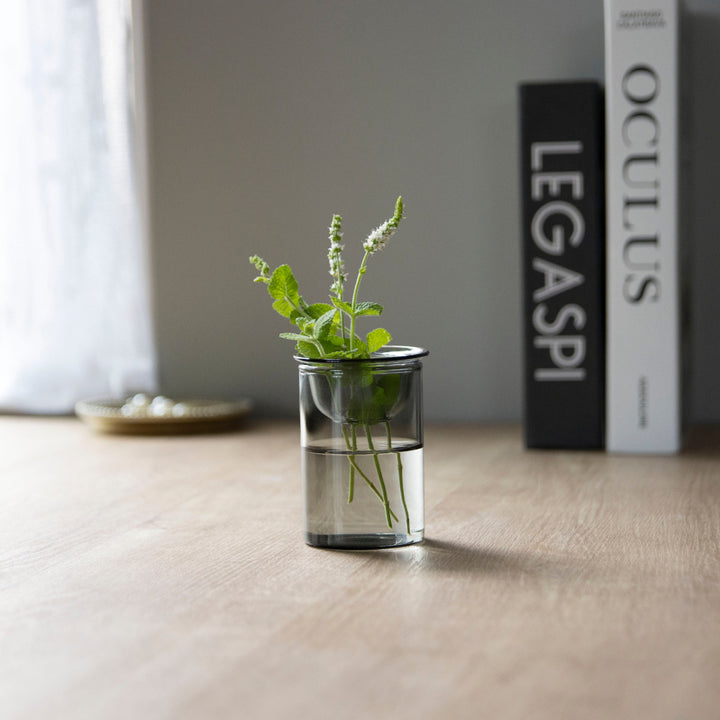 花瓶MINIBULBVASE水栽培ガラスベース8.5cm水耕栽培
