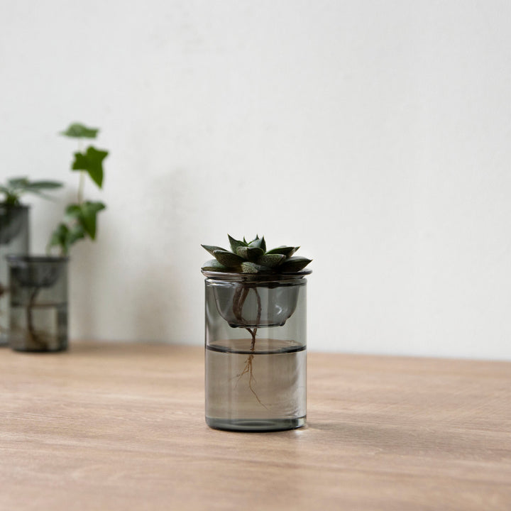 花瓶MINIBULBVASE水栽培ガラスベース8.5cm水耕栽培