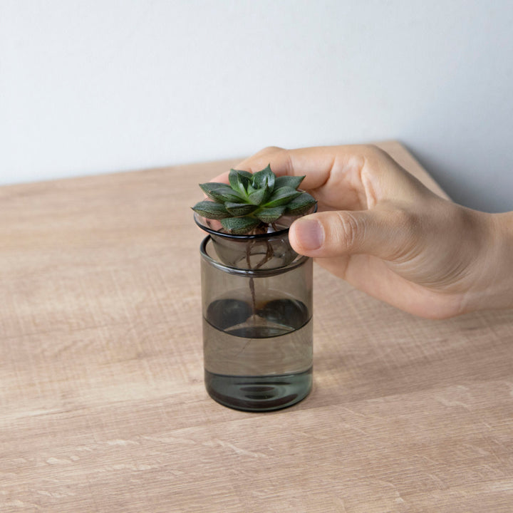 花瓶MINIBULBVASE水栽培ガラスベース8.5cm水耕栽培