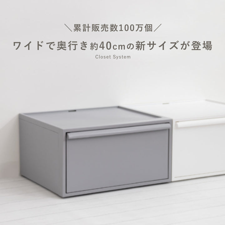収納ケースクローゼットシステムワイド引き出しM幅45×奥行39.5×高さ24.7cm