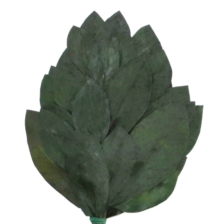 榊神具プリザーブド榊ミニ榊一対高さ20cm