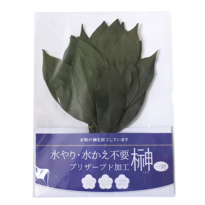 榊神具プリザーブド榊ミニ榊一対高さ20cm