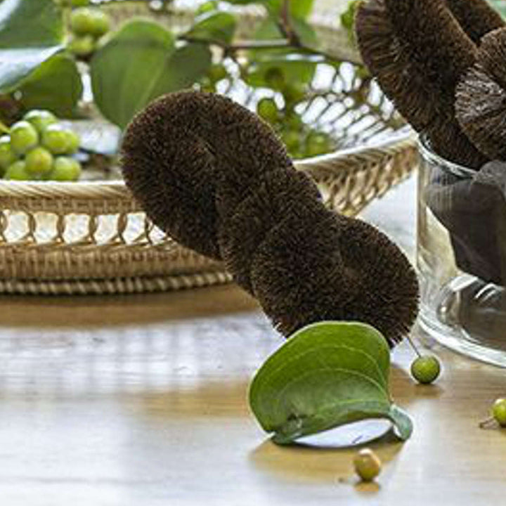 たわし亀の子束子棕櫚たわし極〆No.6