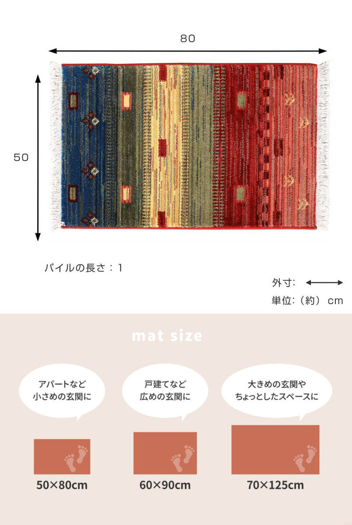玄関マット50×80トルコ製ウィルトン織の玄関マットRAKKAS室内