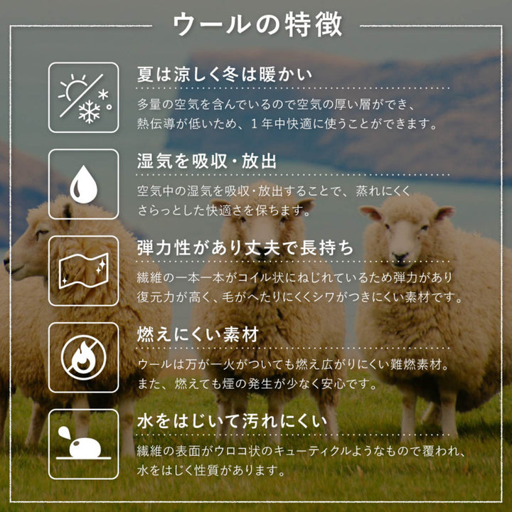 玄関マット60×90GABBEH室内