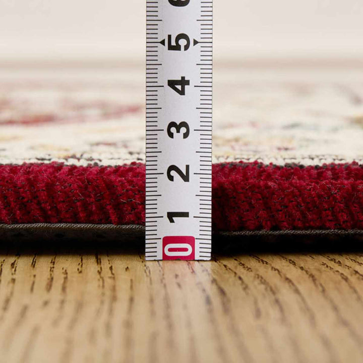 玄関マット60×90ダミニ室内