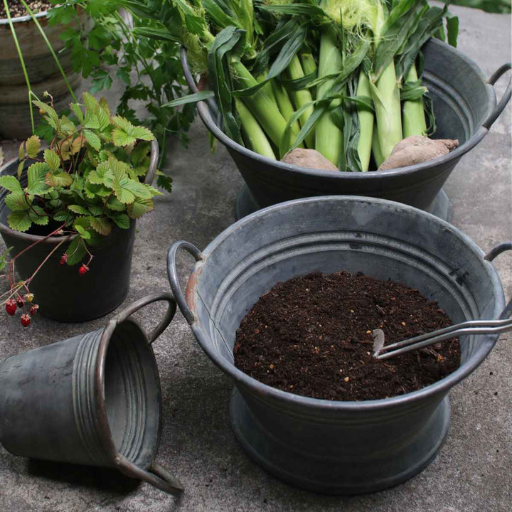 鉢ブリキブリキハンドルバケツS