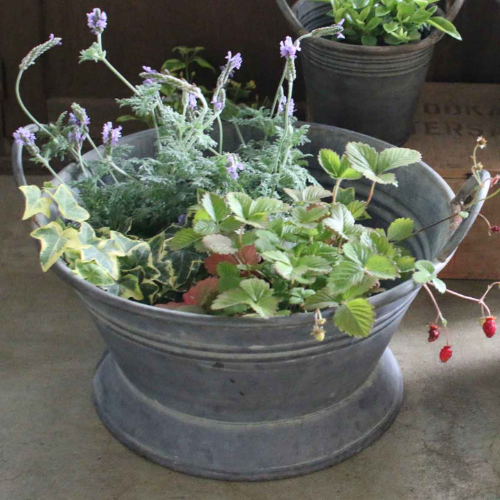 鉢ブリキブリキハンドルバケツS