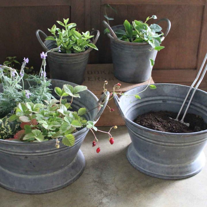 鉢ブリキブリキハンドルバケツS