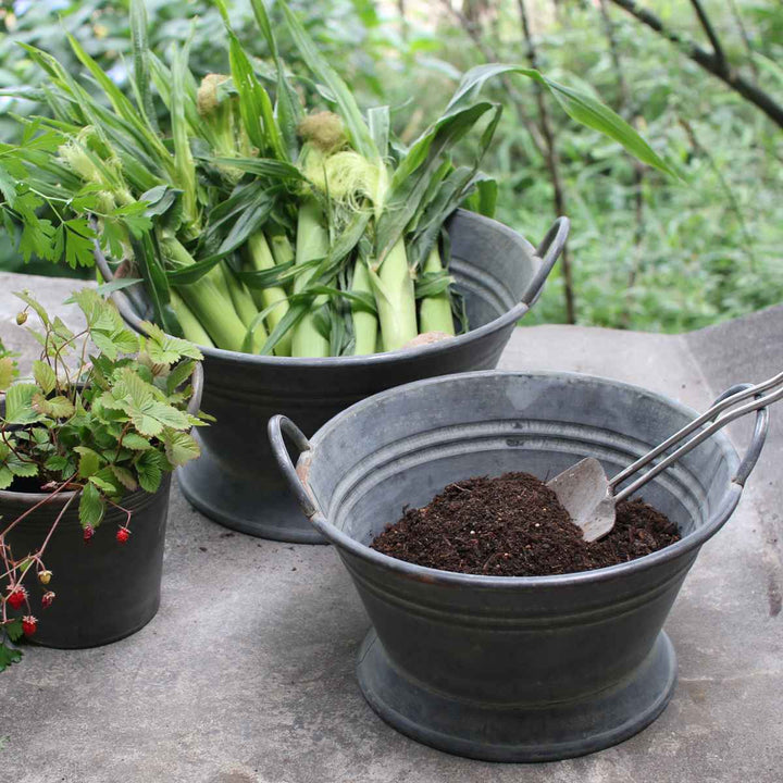 鉢ブリキブリキハンドルバケツL