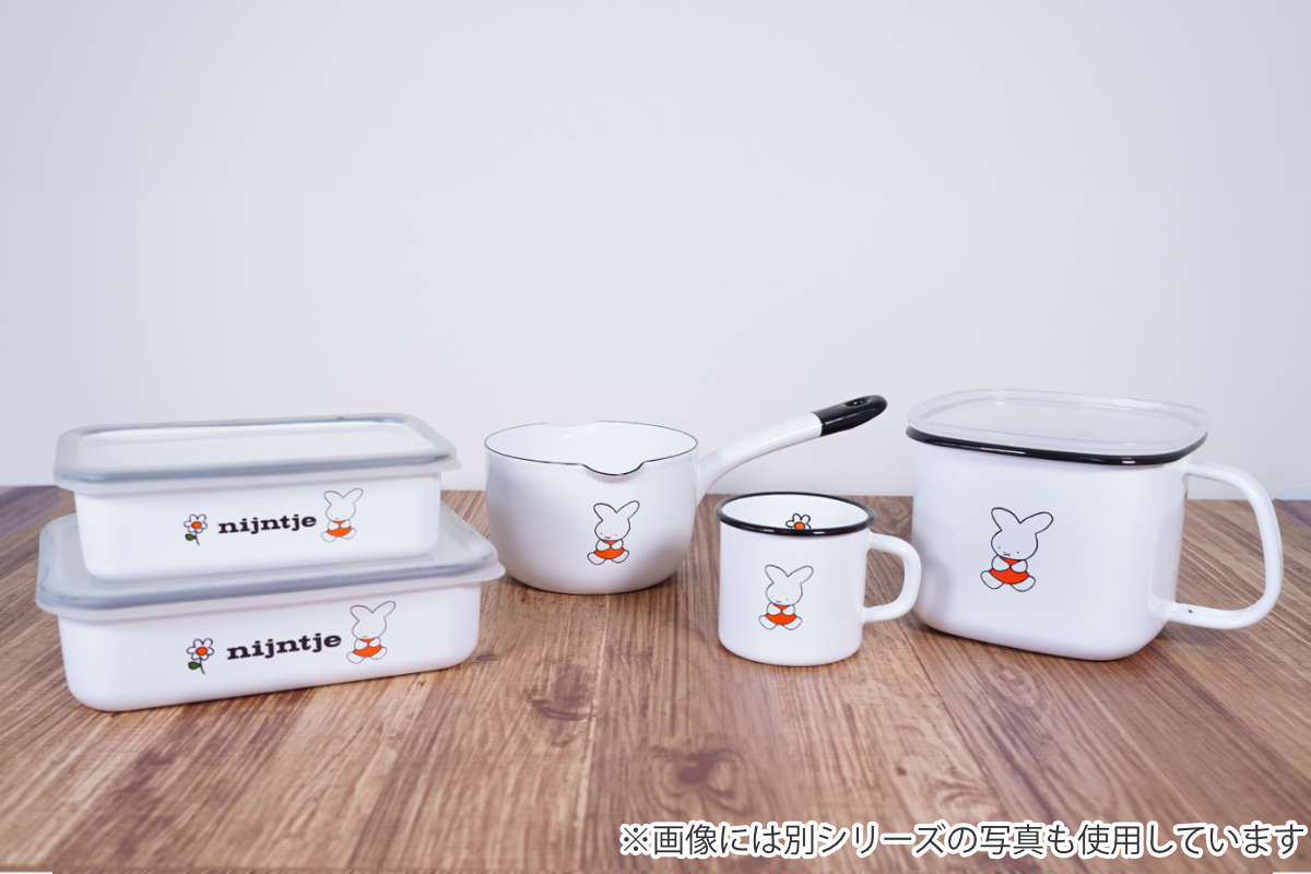 保存容器 ナインチェ 浅型 角容器 L ホーロー – ハウジー