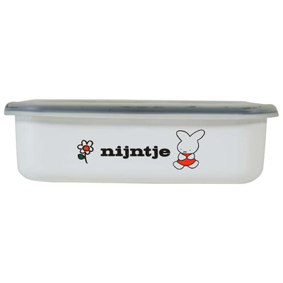 保存容器 ナインチェ 浅型 角容器 L ホーロー