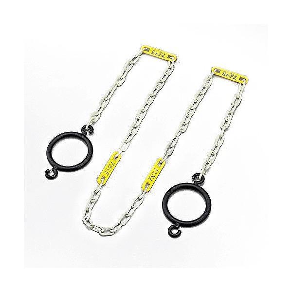 ルミチェインバーサイン