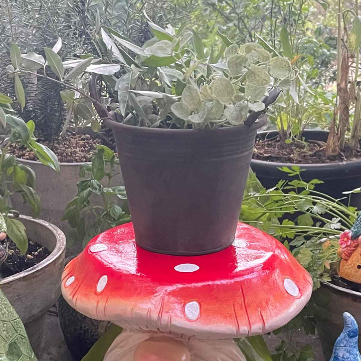 ガーデンノームKINOKO置物