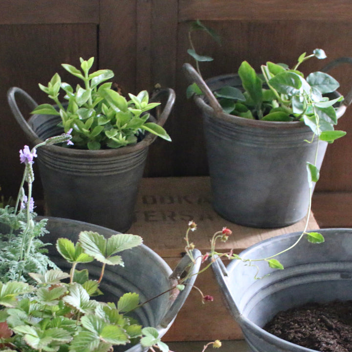 植木鉢ブリキハンドルポットS