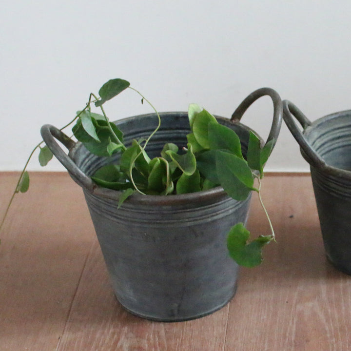 植木鉢ブリキハンドルポットL