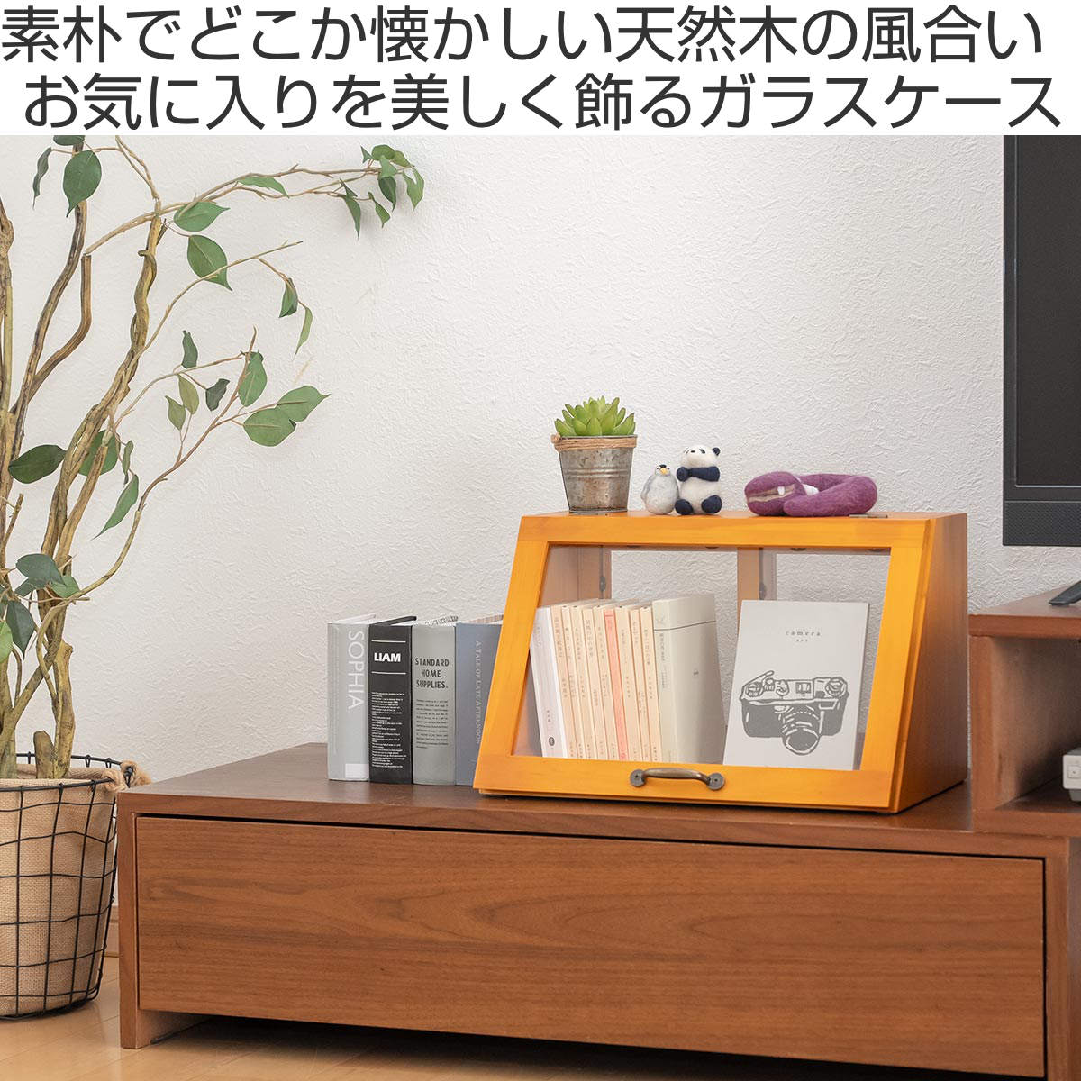 ガラスケース 幅40cm 1段 カウンター上収納 ラック – ハウジー