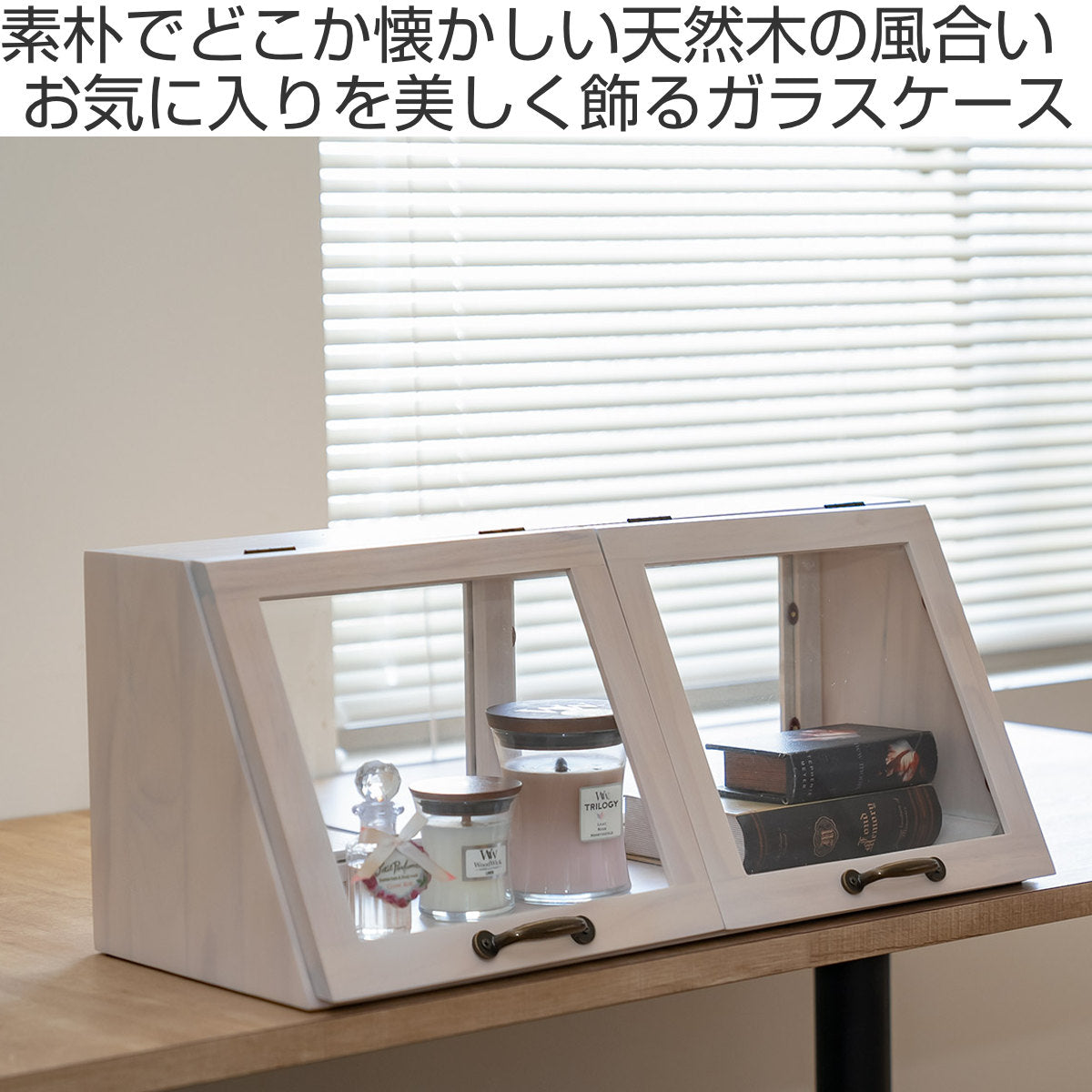 ガラスケース 幅60cm 1段 カウンター上収納 ラック – ハウジー
