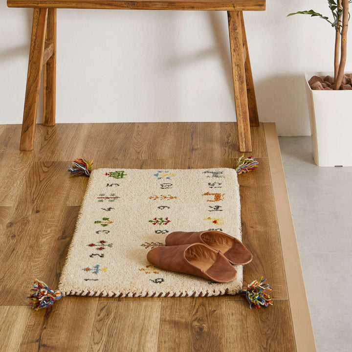 玄関マット室内GABBEHヌメロ45×75